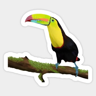 Colorful Toucan Bird Sticker